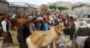العيد في اليمن.. فرحة غائبة تحت ثقل الجوع والحرب