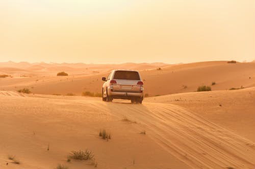مأرب: وفاة شاب عطشاً في الصحراء بعد نفاد الوقود