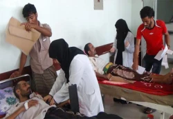 تسجيل أكثر من 4800 إصابة و18 وفاة بحمى الضنك في عدد من المحافظات منذ مطلع العام