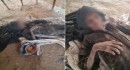 أسابيع فرقت بينهما.. قصة عائلة يمنية قتلها الجوع والمرض