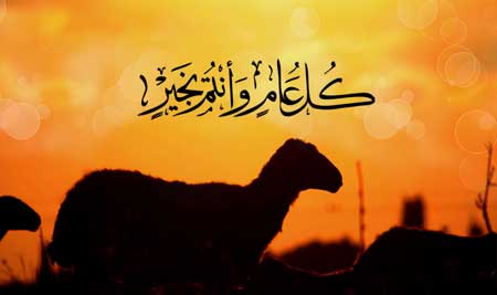 الوحدوي نت 